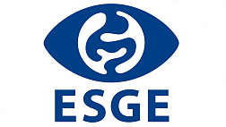 Эндоскопическое лечение камней общего желчного протока: руководство Европейского общества желудочно-кишечной эндоскопии (ESGE)